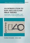 Toyokazu, H:  Introduction To Non-abelian Class Field Theory