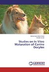 Studies on In Vitro Maturation of Canine Oocytes