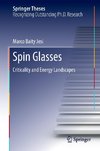 Spin Glasses