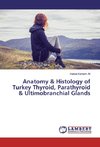 Anatomy & Histology of Turkey Thyroid, Parathyroid & Ultimobranchial Glands