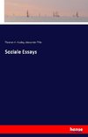 Soziale Essays