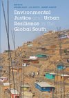 Environmental Justice and Urban Resilience in the Global South