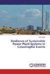 Resilience of Sustainable Power Plant Systems in Catastrophic Events