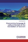 Overcoming language & cultural barriers in the translation of Sana'ani