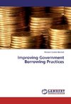 Improving Government Borrowing Practices