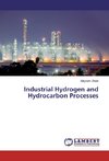 Industrial Hydrogen and Hydrocarbon Processes