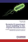 Numerical & experiment-based modeling for bio-inspired microswimmers