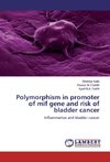 Polymorphism in promoter of mif gene and risk of bladder cancer