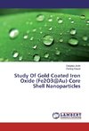 Study Of Gold Coated Iron Oxide (Fe2O3@Au) Core Shell Nanoparticles