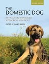 The Domestic Dog