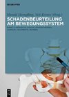 Schadenbeurteilung am Bewegungssystem Band 2