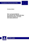 Der europarechtliche Grundsatz der Effektivität des Rechtsschutzes und das EG-Sekundärrecht