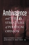 Ambivalence and the Structure of Political Opinion