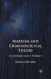 Marxism and Criminological Theory