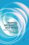 Naming, Necessity and More