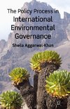 The Policy Process in International Environmental Governance