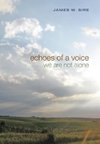 Echoes of a Voice