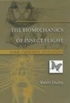 The Biomechanics of Insect Flight