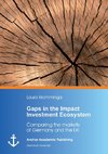 Gaps in the Impact Investment Ecosystem