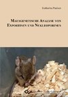 Mausgenetische Analyse von Exportinen und Nukleoporinen