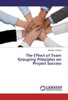 The Effect of Team Grouping Principles on Project Success