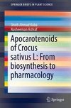 Baba, S: Apocarotenoids of Crocus sativus L: From biosynthes