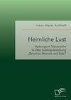 Heimliche Lust. Verborgene Tabubrüche in Otto Ludwigs Erzählung 