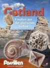 Fossilien Sonderheft 