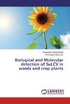 Biological and Molecular detection of SuLCV in weeds and crop plants