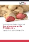 Cacahuate Arachis hypogaea L