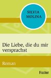 Die Liebe, die du mir versprachst