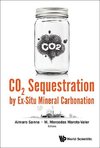 Aimaro, S:  Co2 Sequestration By Ex-situ Mineral Carbonation