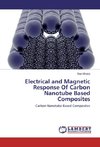 Electrical and Magnetic Response Of Carbon Nanotube Based Composites