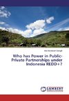 Who has Power in Public-Private Partnerships under Indonesia REDD+?