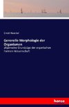 Generelle Morphologie der Organismen