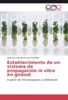 Establecimiento de un sistema de propagación in vitro en girasol