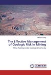 The Effective Management of Geologic Risk in Mining