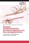 Hongos potencialmente ocratoxicogénicos en Ilex paraguariensis