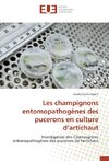 Les champignons entomopathogènes des pucerons en culture d'artichaut