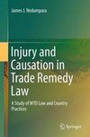 Injury and Causation in Trade Remedy Law