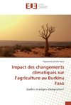 Impact des changements climatiques sur l'agriculture au Burkina Faso