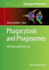 Phagocytosis and Phagosomes