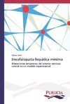 Encefalopatía hepática mínima