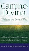 Camino Divina-Walking the Divine Way