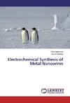 Electrochemical Synthesis of Metal Nanowires