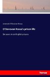 O'Donovan Rossa's prison life