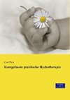 Kurzgefasste praktische Hydrotherapie