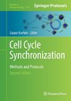 Cell Cycle Synchronization