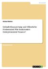 Gründerfinanzierung und öffentliche Fördermittel. Wie funktioniert Entrepreneurial Finance?