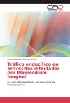 Tráfico endocítico en eritrocitos infectados por Plasmodium berghei